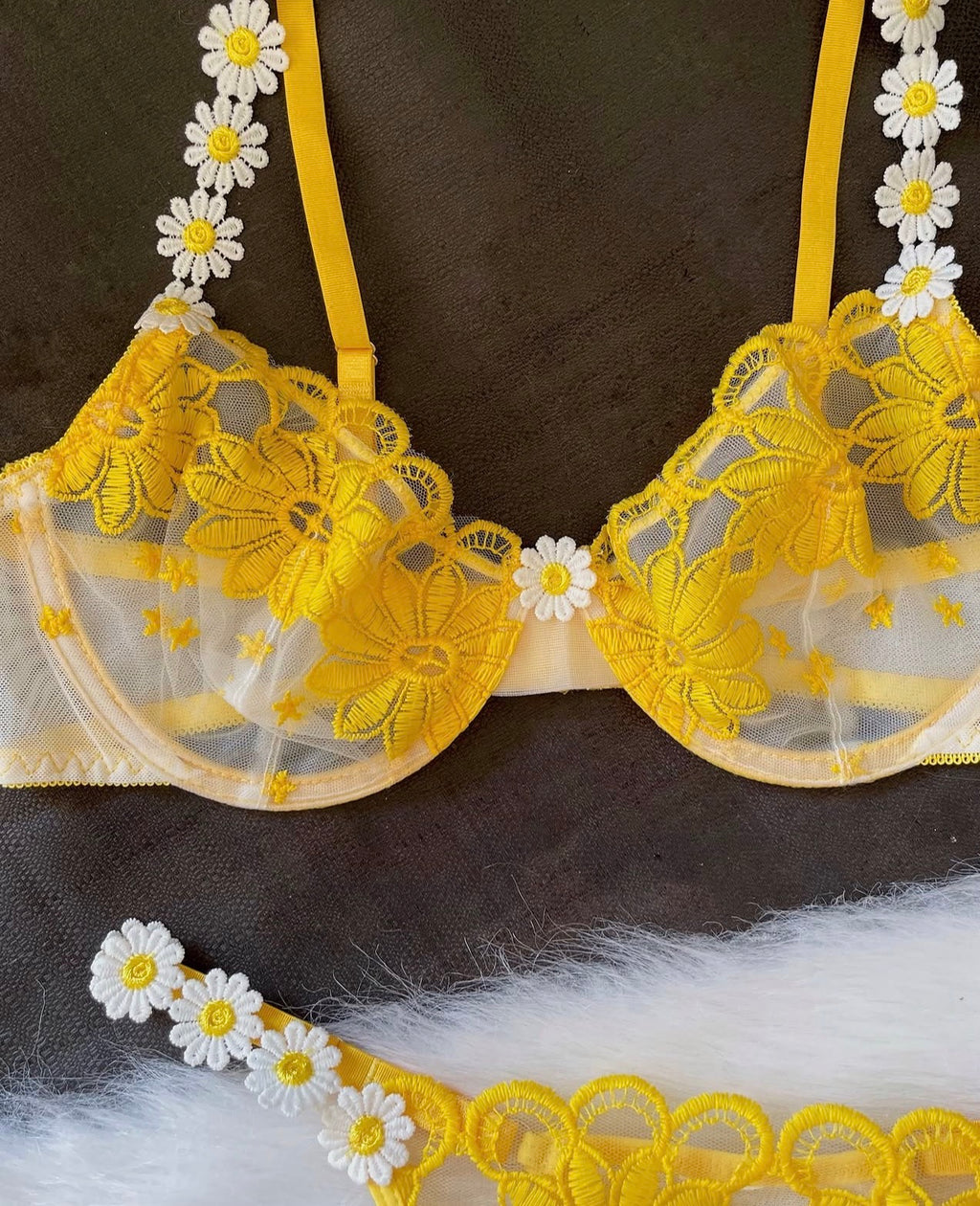 Set Daisy