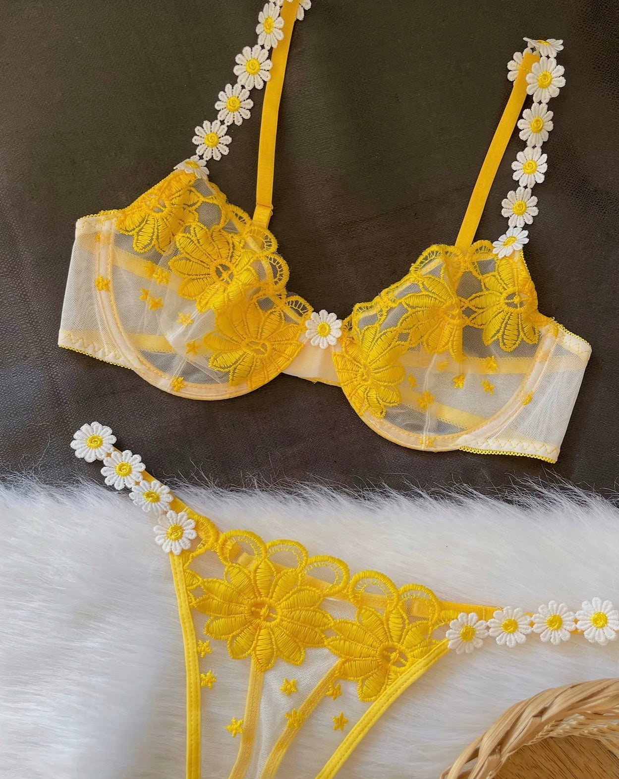 Set Daisy